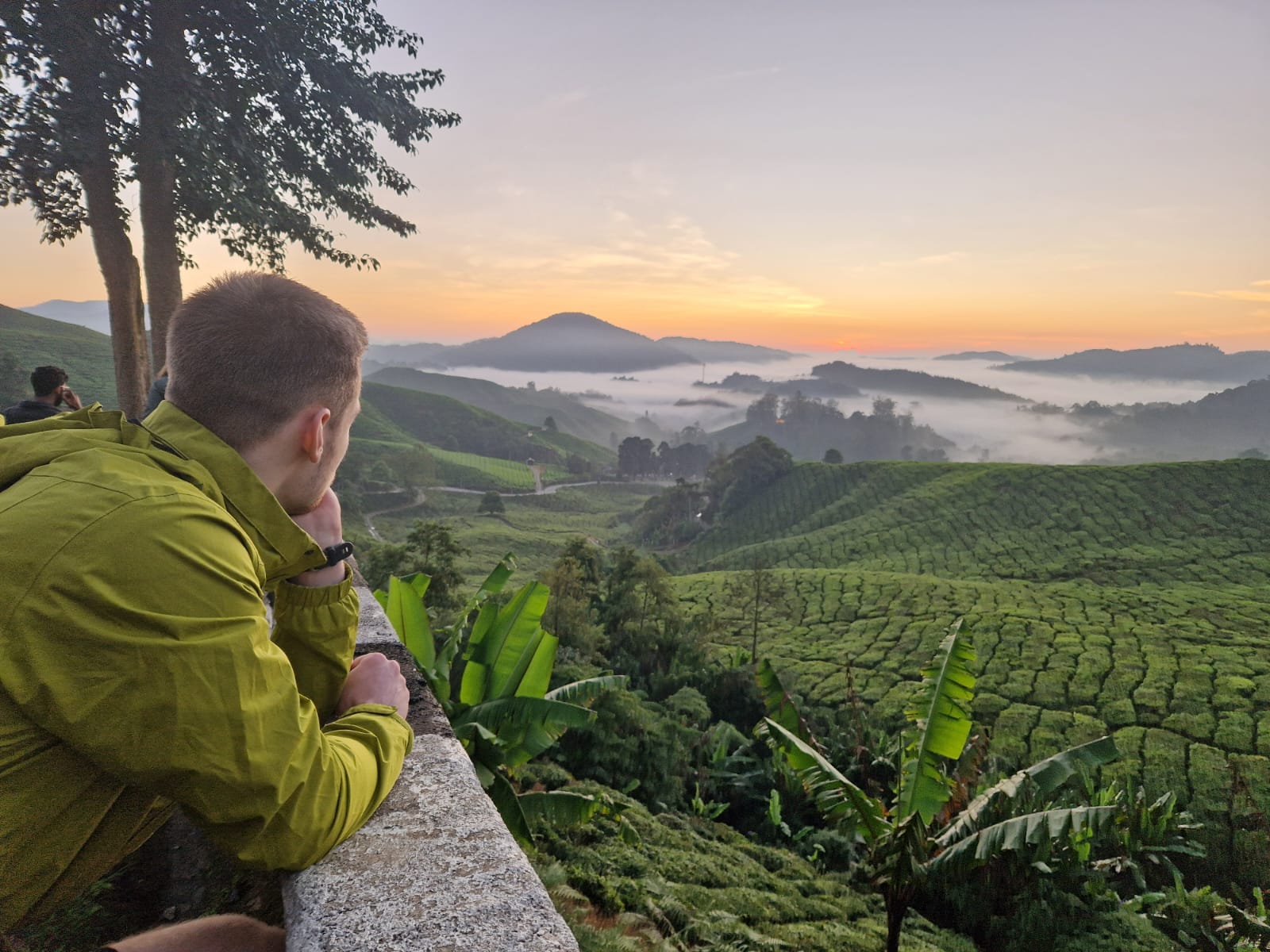 Sebastian Momann blickt über eine Teeplantage im Morgennebel